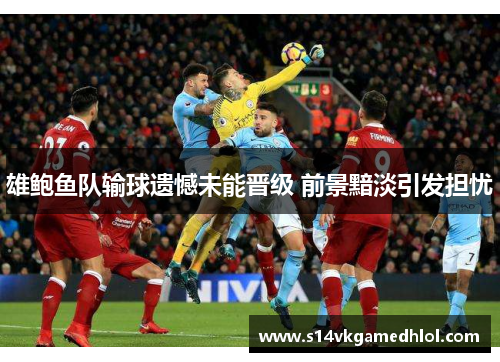 雄鲍鱼队输球遗憾未能晋级 前景黯淡引发担忧