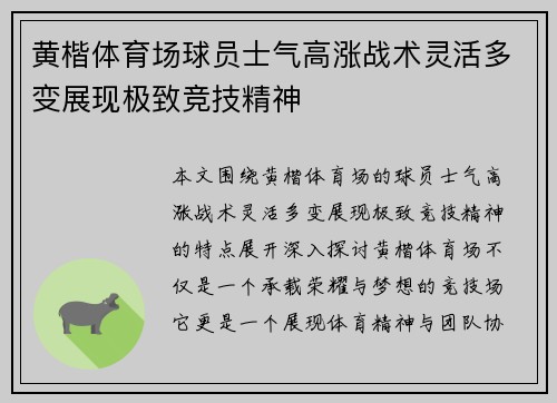 黄楷体育场球员士气高涨战术灵活多变展现极致竞技精神