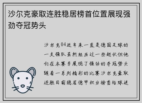 沙尔克豪取连胜稳居榜首位置展现强劲夺冠势头