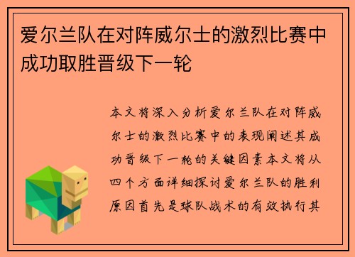 爱尔兰队在对阵威尔士的激烈比赛中成功取胜晋级下一轮