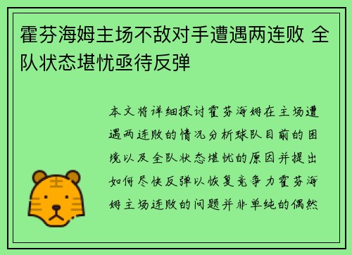 霍芬海姆主场不敌对手遭遇两连败 全队状态堪忧亟待反弹